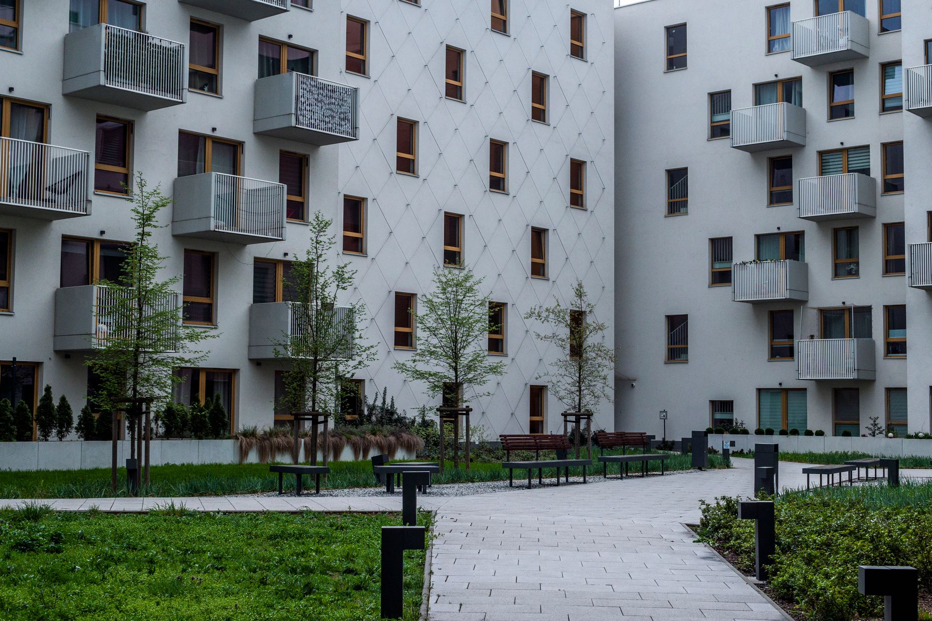 A landscaped courtyard between two residential blocks at golden hour